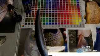 Adding foil to a fishing lure