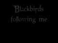 BlackBirds - Linkin Park (Lyrics) - YouTube