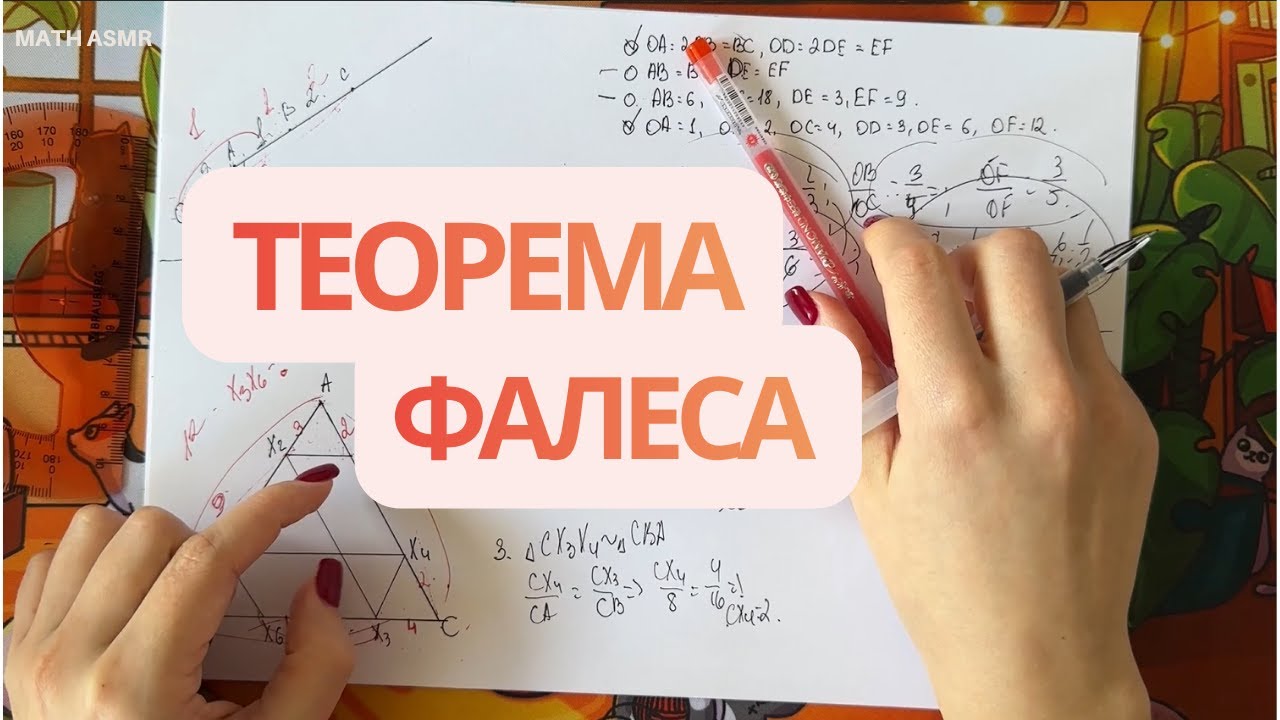 ASMR І Математика для сна І Теорема Фалеса