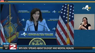 Governor Hochul addresses mental health issues