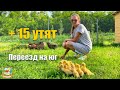 #226 Купили уток мулардов. Салон красоты для Цили / Переезд на ЮГ