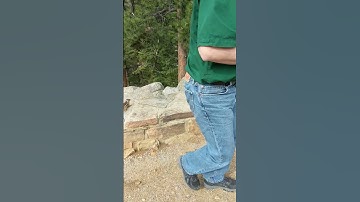 Begging Ground Squirrels at a Colorado Rest Stop 🐿️ #dontfeedtheanimals #wildlife #feedtheanimals