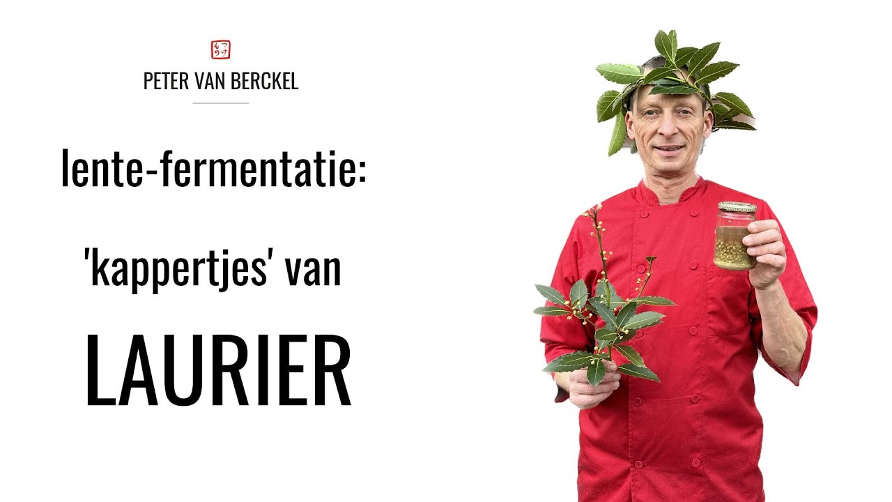 Laurier 'kappertjes': voorjaarsfermentatie
