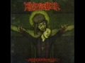 ribspreader - morbidity awoken