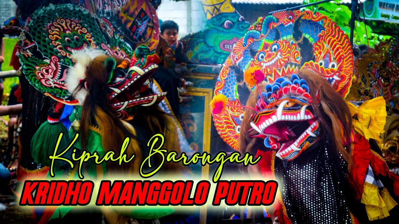 Kiprah Barongan Junior Jaranan Kridho Manggolo Putro Live Gamping Campurdarat Tulungagung