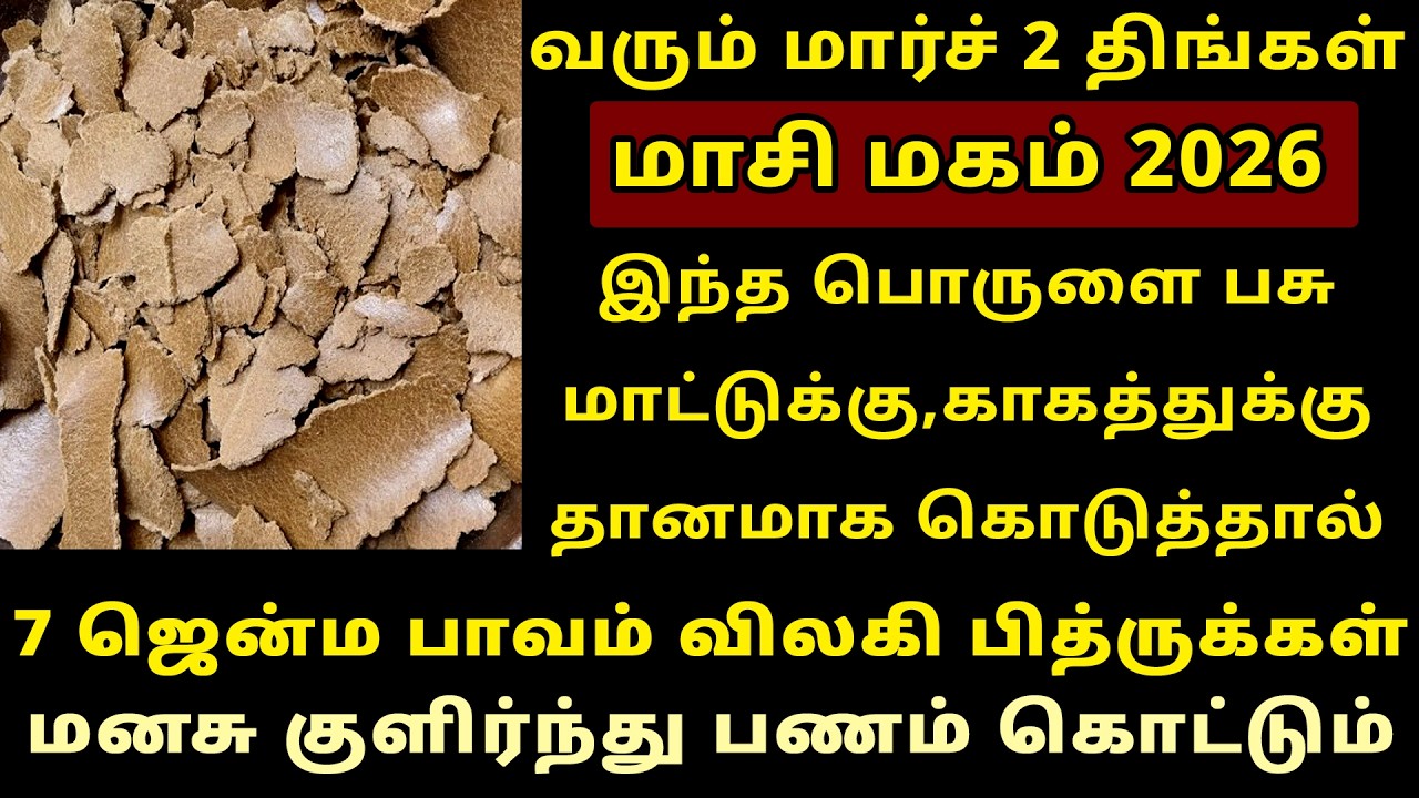 வரும் Mar-2 மாசி மகம் பசு மாட்டுக்கு காகத்துக்கு இதை தானமாக கொடுங்க! Masi Magam 2026