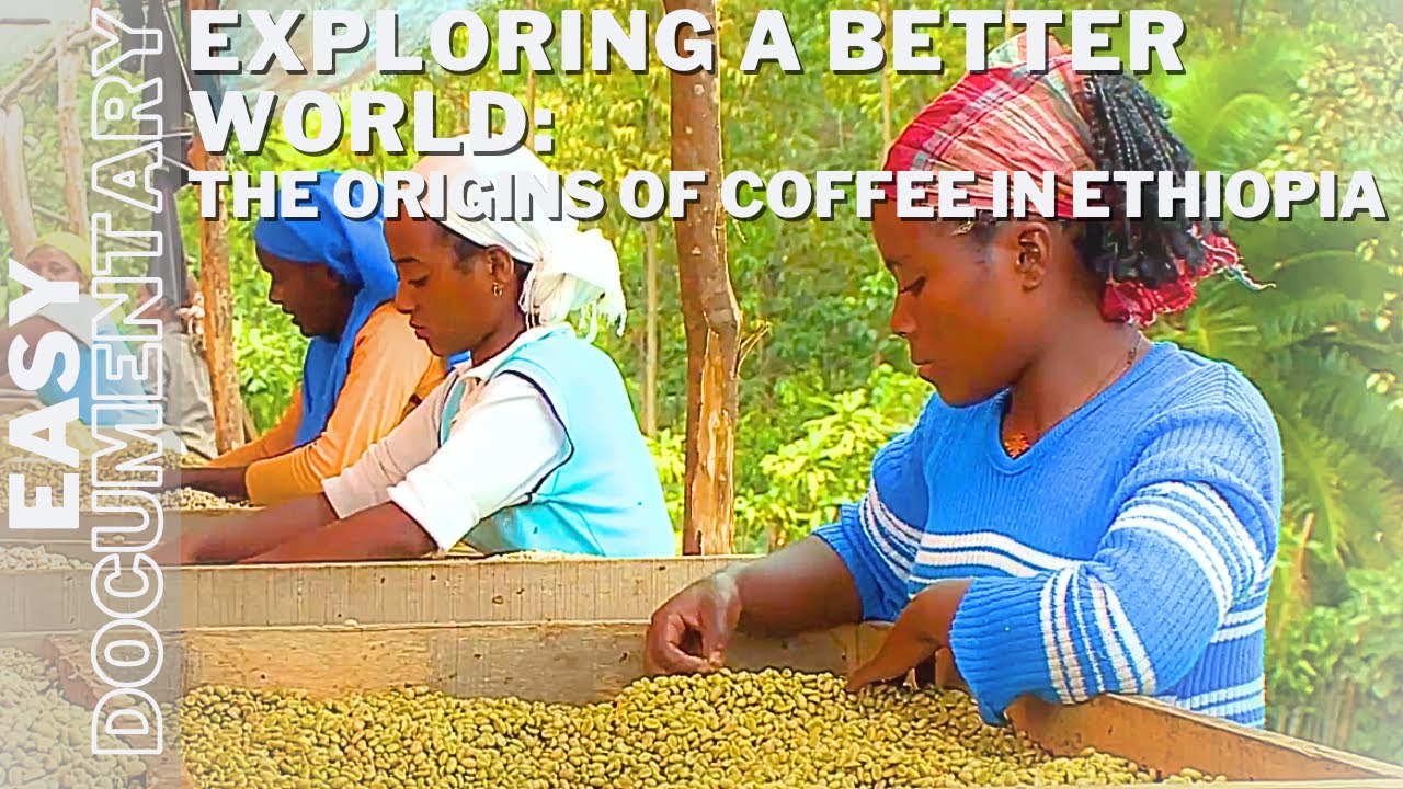 Still from Exploring a Better World: The Origins of Coffee in Ethiopia - Full Travel Documentary