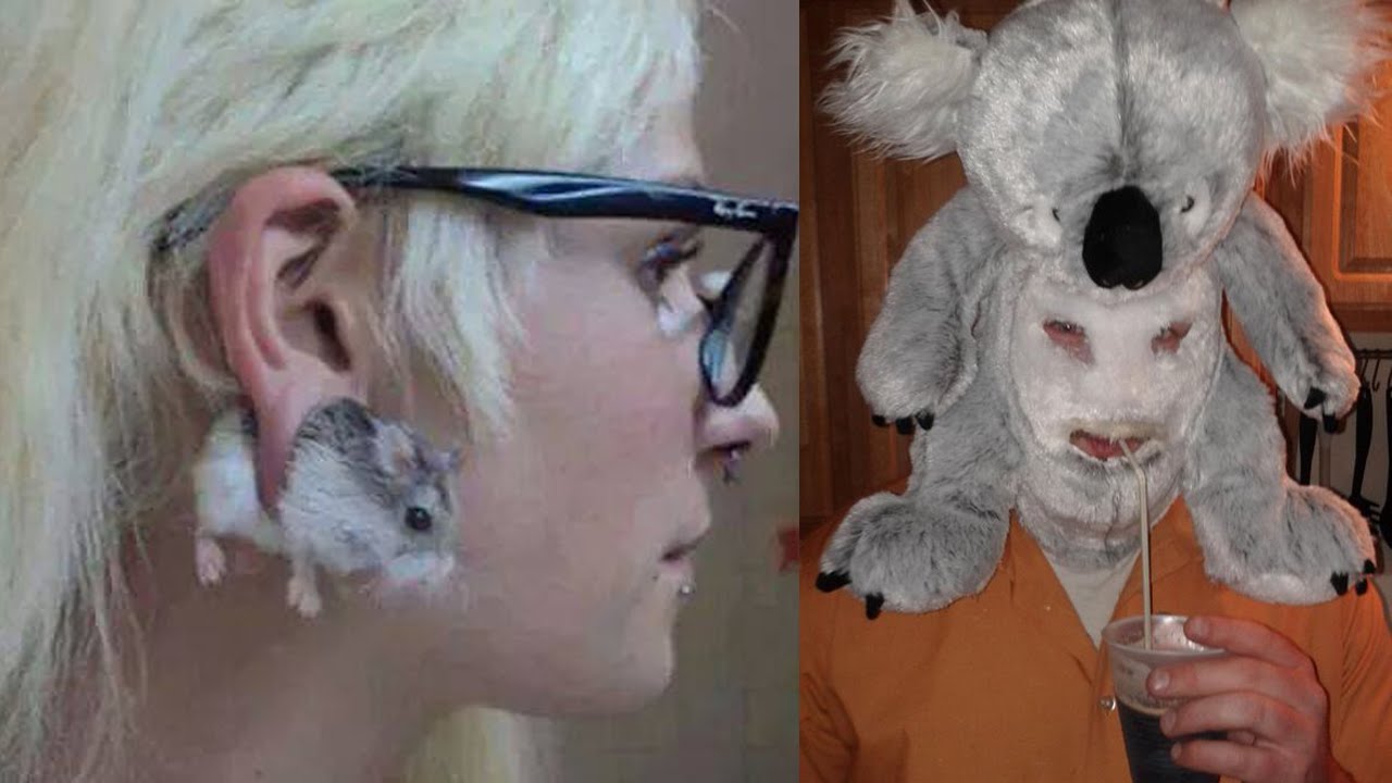 Bilderesultat for wtf is happening in these pictures