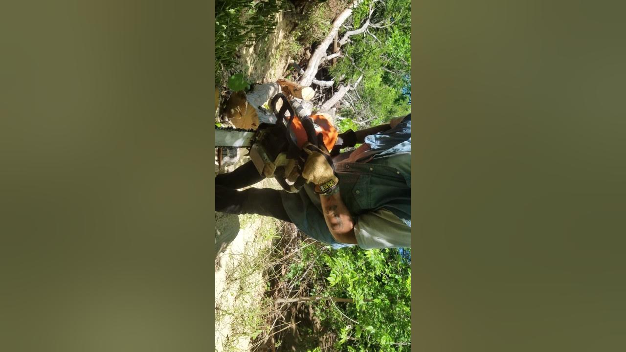 STIHL ME 039!!!! why did stihl ever change what wasn't broke YouTube