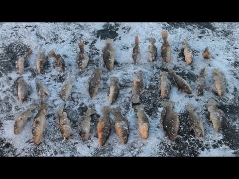 зимняя рыбалка на ротана 2015