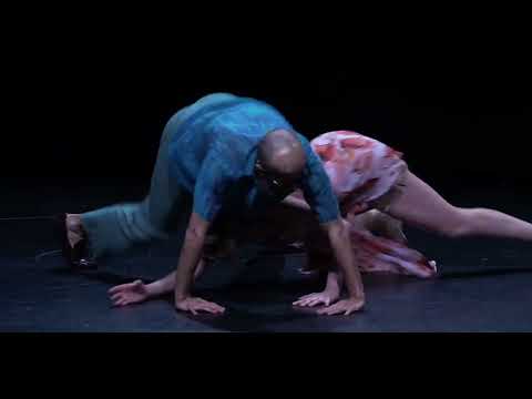 ŠDF 14 OFFICIAL TRAILER