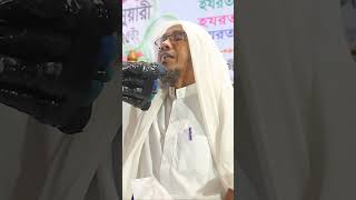 Afsari New Waz 2025 । রফিক উল্লাহ আফসারী
