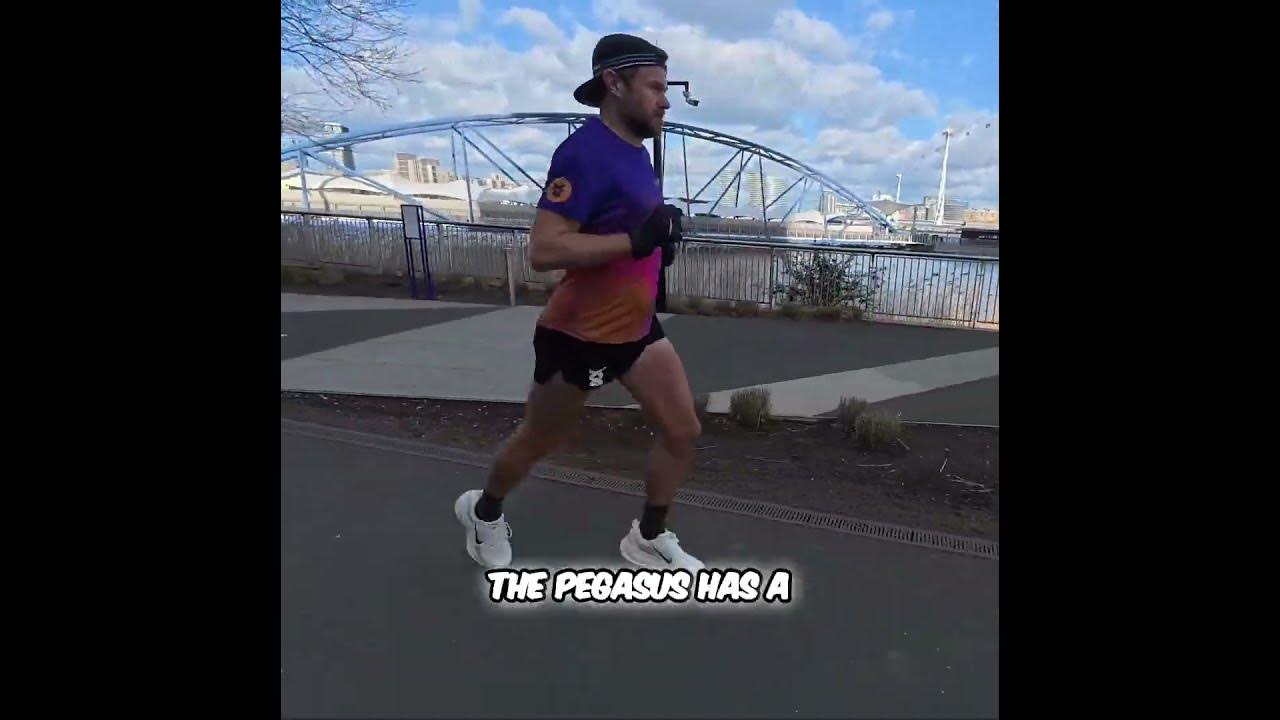 Nike Pegasus 41 vs Vomero: Which Shoe Wins?