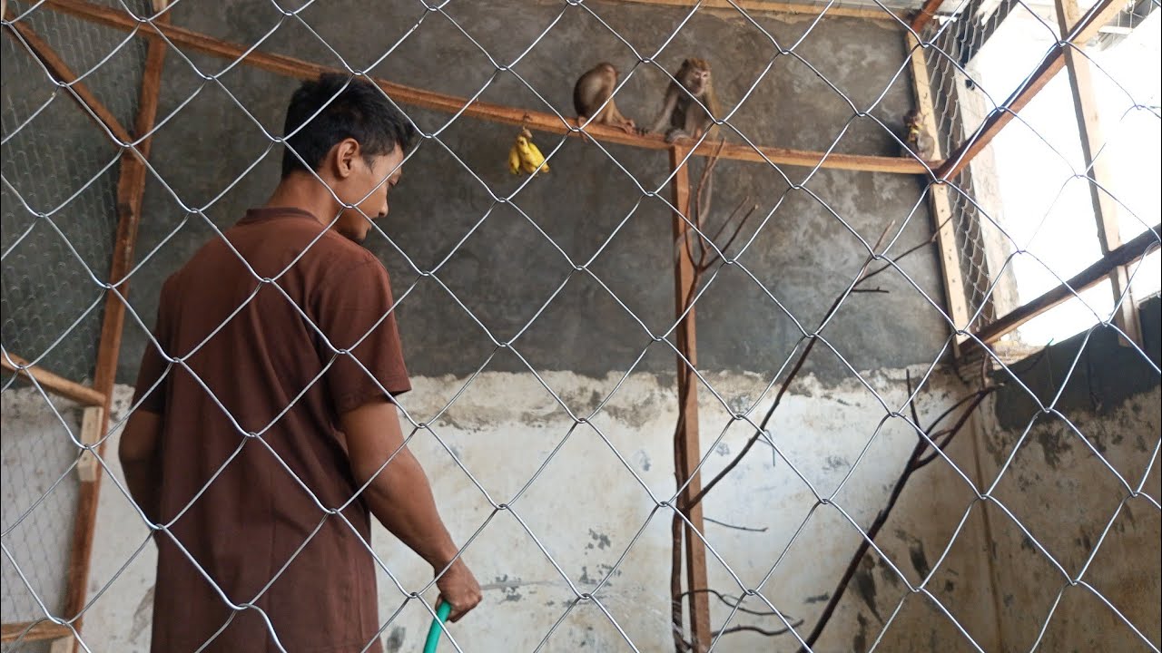 УТРЕННИЕ МЕРОПРИЯТИЯ В КЛЕТКЕ «БАЛИБУЛ»