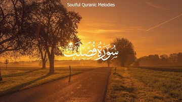 Surah Fussilat (Ha Mim As-Sajdah) - Heart touching Quran سورة فصلت | Soulful Quranic Melodies