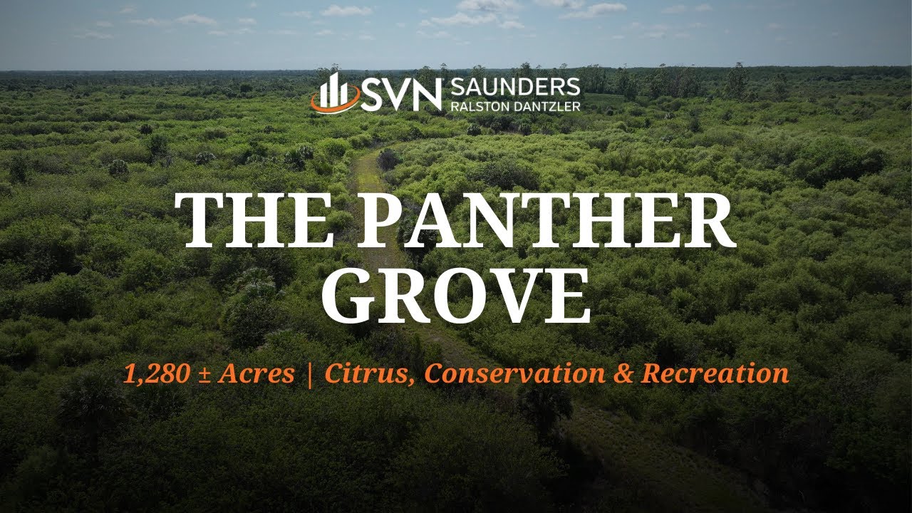 Citrus Grove & Recreational Land For Sale The Panther Grove 1,280