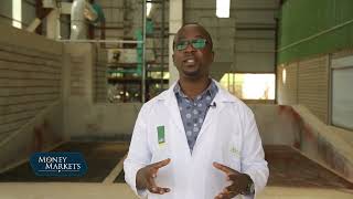 Thinking of Poultry Farming? Watch This First!