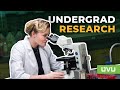 Why Do Undergraduate Research