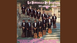 Video thumbnail of "La Rondalla de Saltillo - Dame Otra Oportunidad"