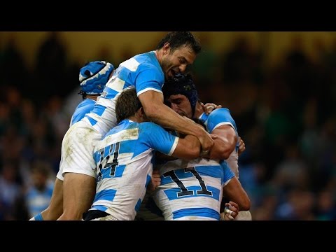 Ireland v Argentina - Match Highlights and Tries - RWC 2015