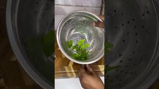 Easiest way to remove mint leaves #cookighhack #hack #kitchenhack