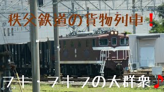 【秩父鉄道】 石灰石輸送 返送列車