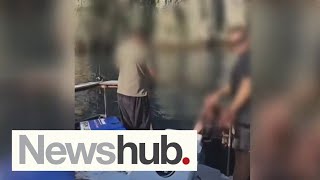 'Reckless raiding party': Fury as social posts reveal alleged fishing spree in reserve | Newshub