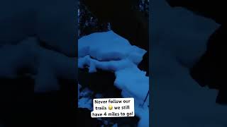 The Reason You Should Never Follow Our Tracks