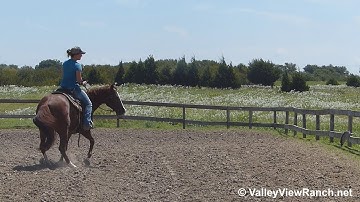 Sucker For A Redhead - working the mechanical cow! - ValleyViewRanch.net