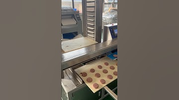 Automatic chocolate chips coookies production line #encrusting machine #automatic panning machine