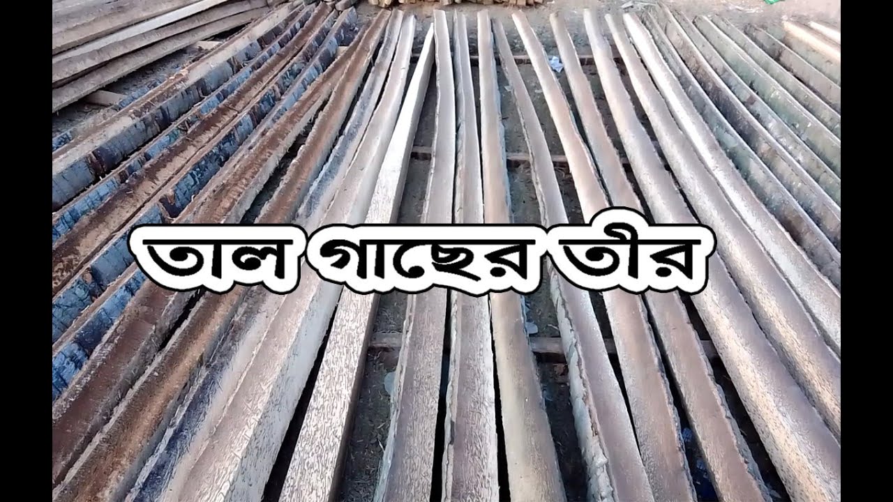 ঘর বানাতে তাল গাছের তীর । ঘরের তলা পাড়তে তাল গাছের তীরের জুড়ি মেলা ভার
