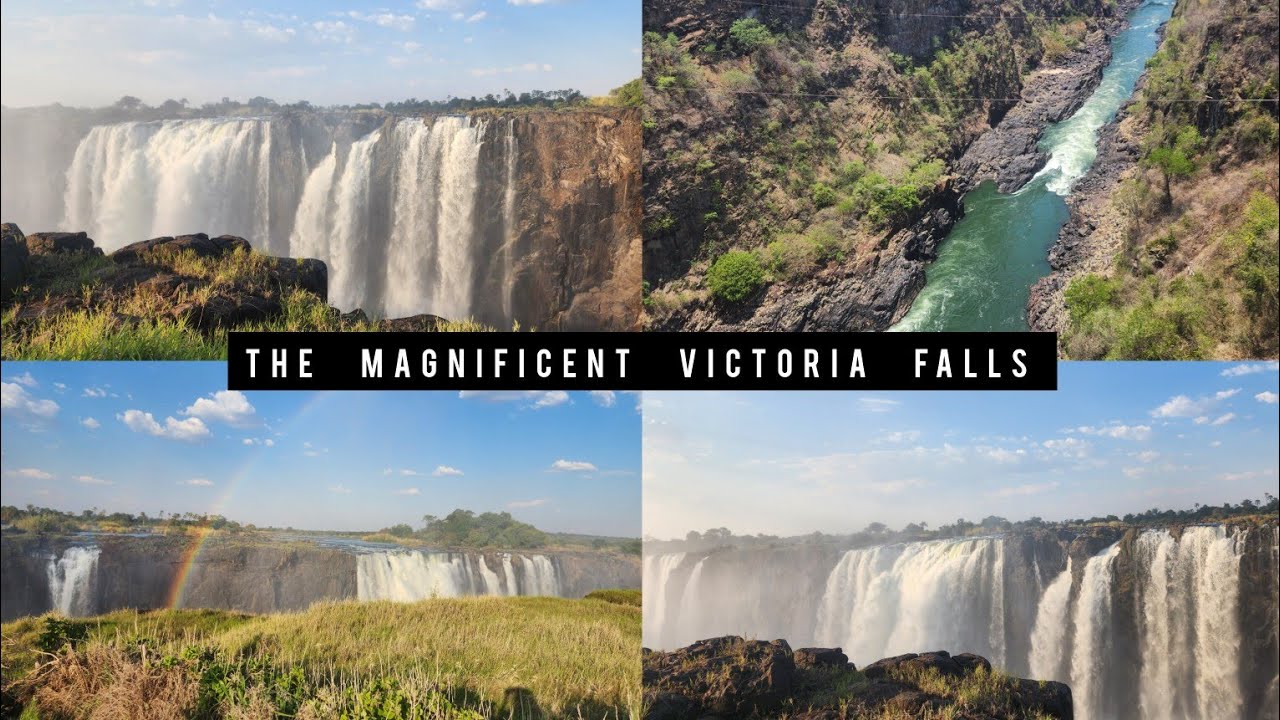 7-december-2024-the-magnificent-victoria-falls-rainforest-youtube