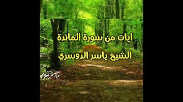 تلاوة هادئة وخاشعة بصوت الشيخ ياسر الدوسري تبعث الراحة النفسية سورة المائدة