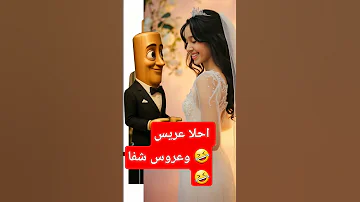 Tom شفا شفاشفا شفا شفا شفا شفن شفا توم توم سهور شفا2القط الاطفال شفاشفا Cat خلودة ايلسا Shf 
