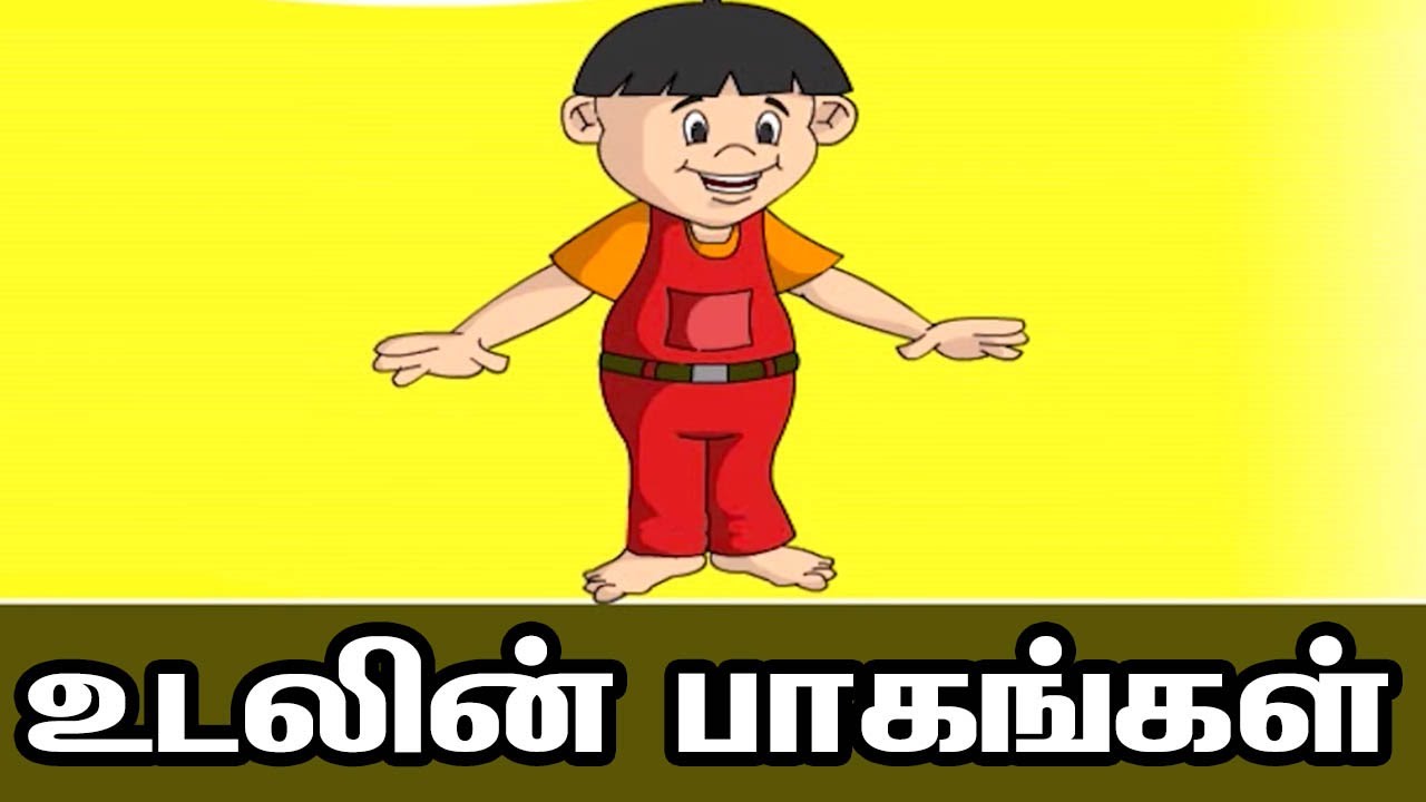 Parts of the body in Tamil for beginners | உடலின் பாகங்கள் | Basis