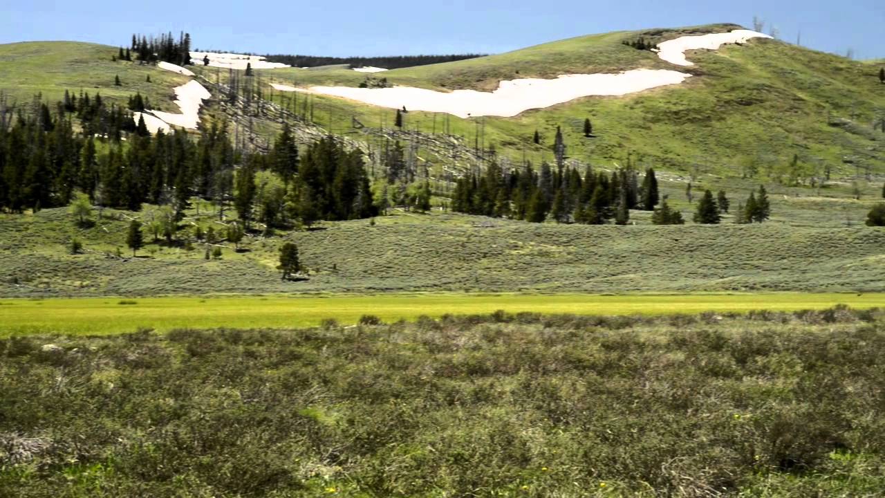 Yellowstone National Park Filmed with Nikon D800 YouTube