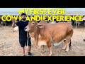 MY FIRST EVER COW MANDI VISIT