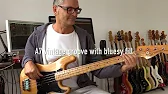 MarloweDK - Bass lessons, licks and low notes