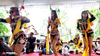 Pesona Cewek Cantik Goyang Ndolalak Sekarang Ayu Pituruh Purworejo