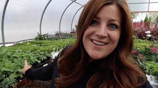 Planting Out Perennials I Grew From Seed! // Garden Answer