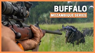 Father & Son Chasing DANGEROUS Game in Africa   Buffalo DOUBLE in MOZAMBIQUE