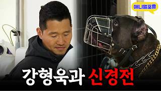 강형욱 못 알아보고 냅다 돌진하는 카네코르소.. 숨 막히는 신경전이 시작됐다ㅣKBS 개는 훌륭하다 220404 방송