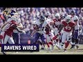 Rising Up vs. Arizona | Ravens Wired