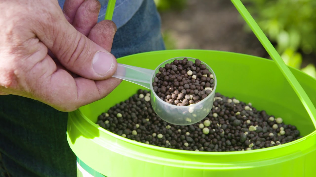 Top Exotic Fruits to Grow in Australia for 2026 and Beyond