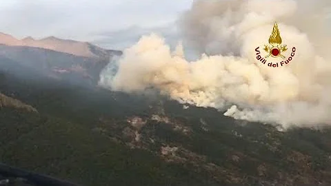Perché gli incendi dolosi?