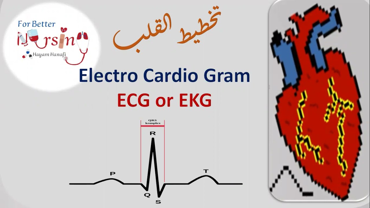 ECG/EKG.    تخطيط القلب