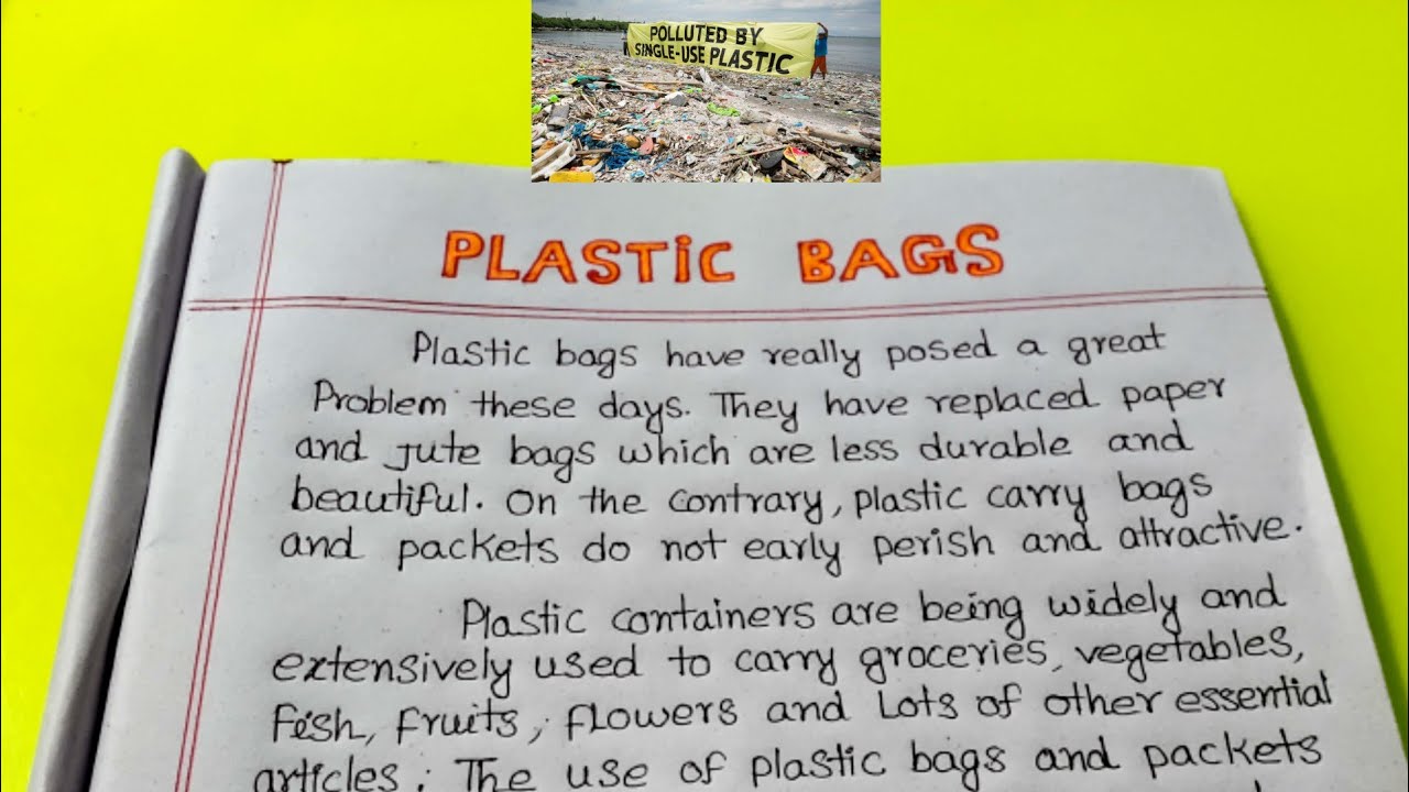 essay writing on plastic bag