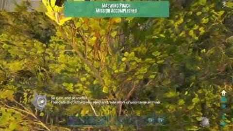 ARK: Survival Evolved gen 2 Maewing poach gamma, official pve ps4