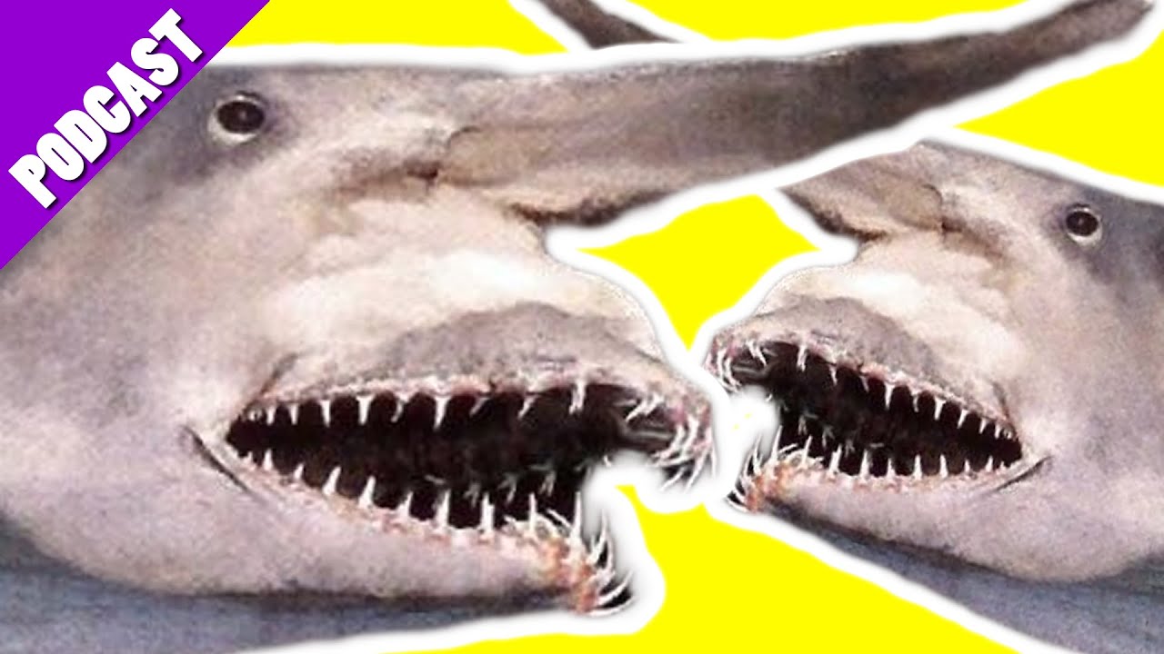 OUR BIGGEST FEAR?!? - JARCAST Episode 5