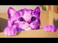 🟢Little Kitten My Favorite Play Fun Cats Video New Fun Pet Care Funny Animals Compilation